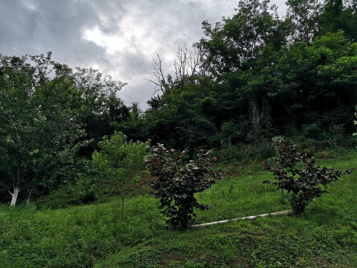 Villa Mirela Maretic Kültér fotó