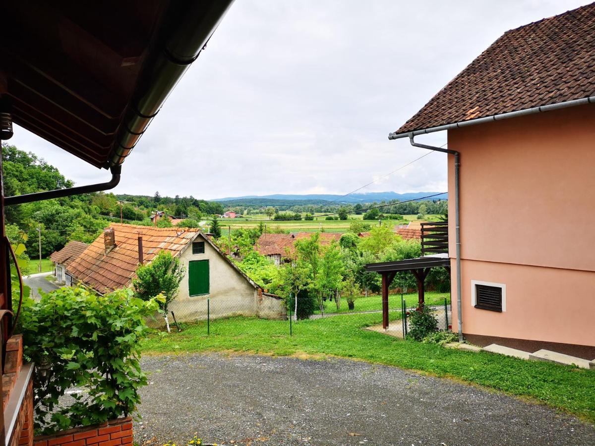 Villa Mirela Maretic Kültér fotó