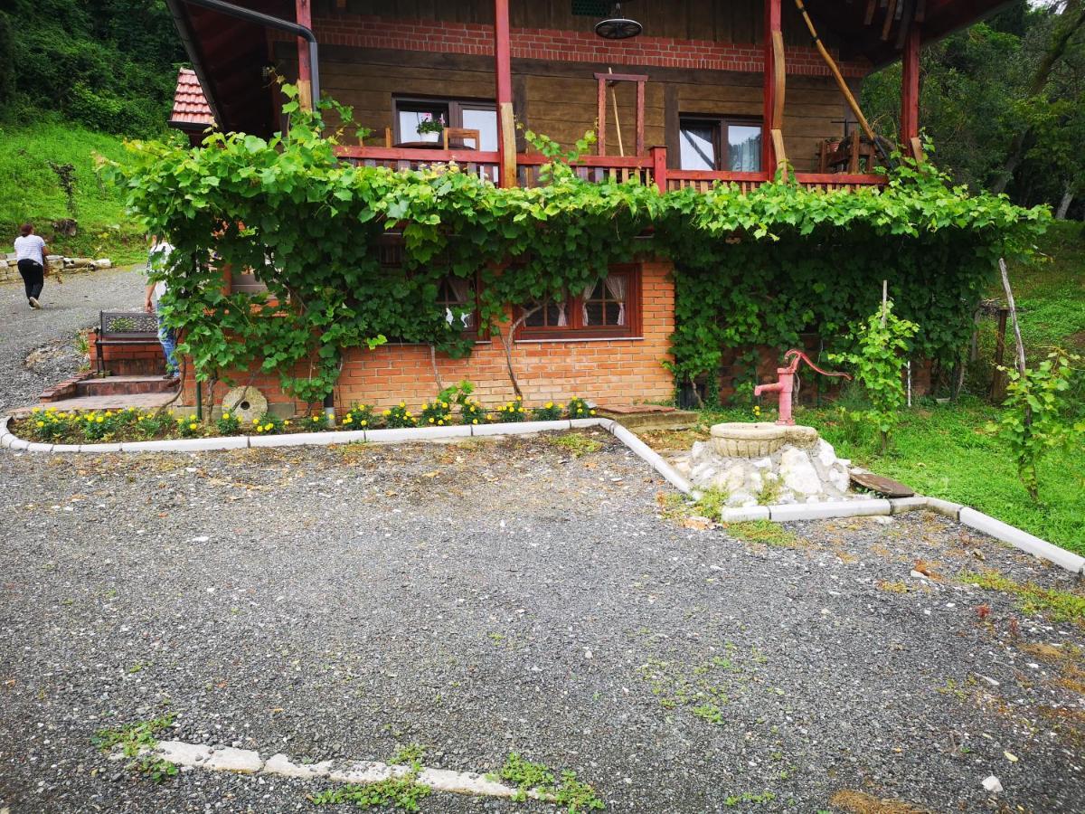 Villa Mirela Maretic Kültér fotó