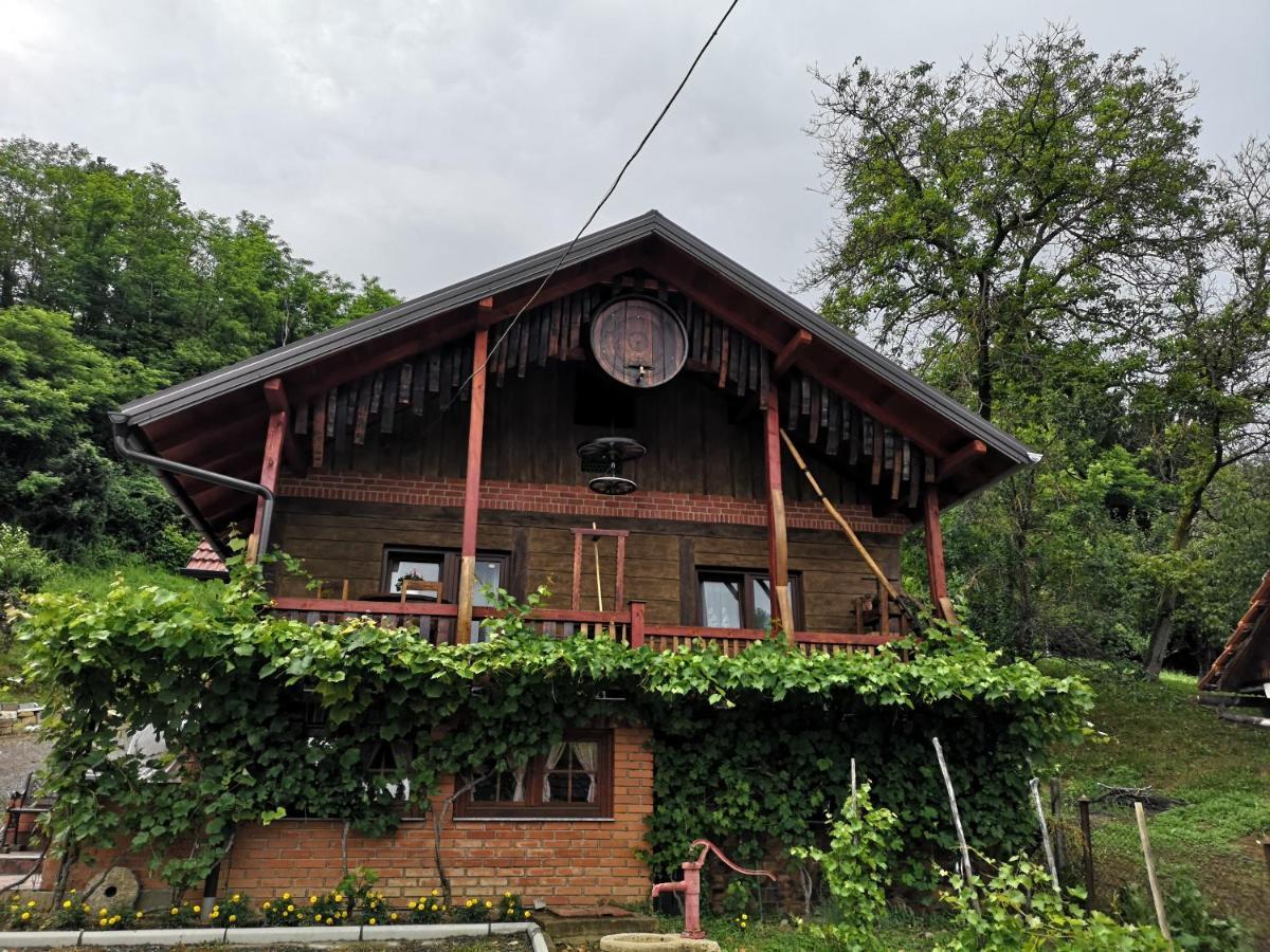 Villa Mirela Maretic Kültér fotó